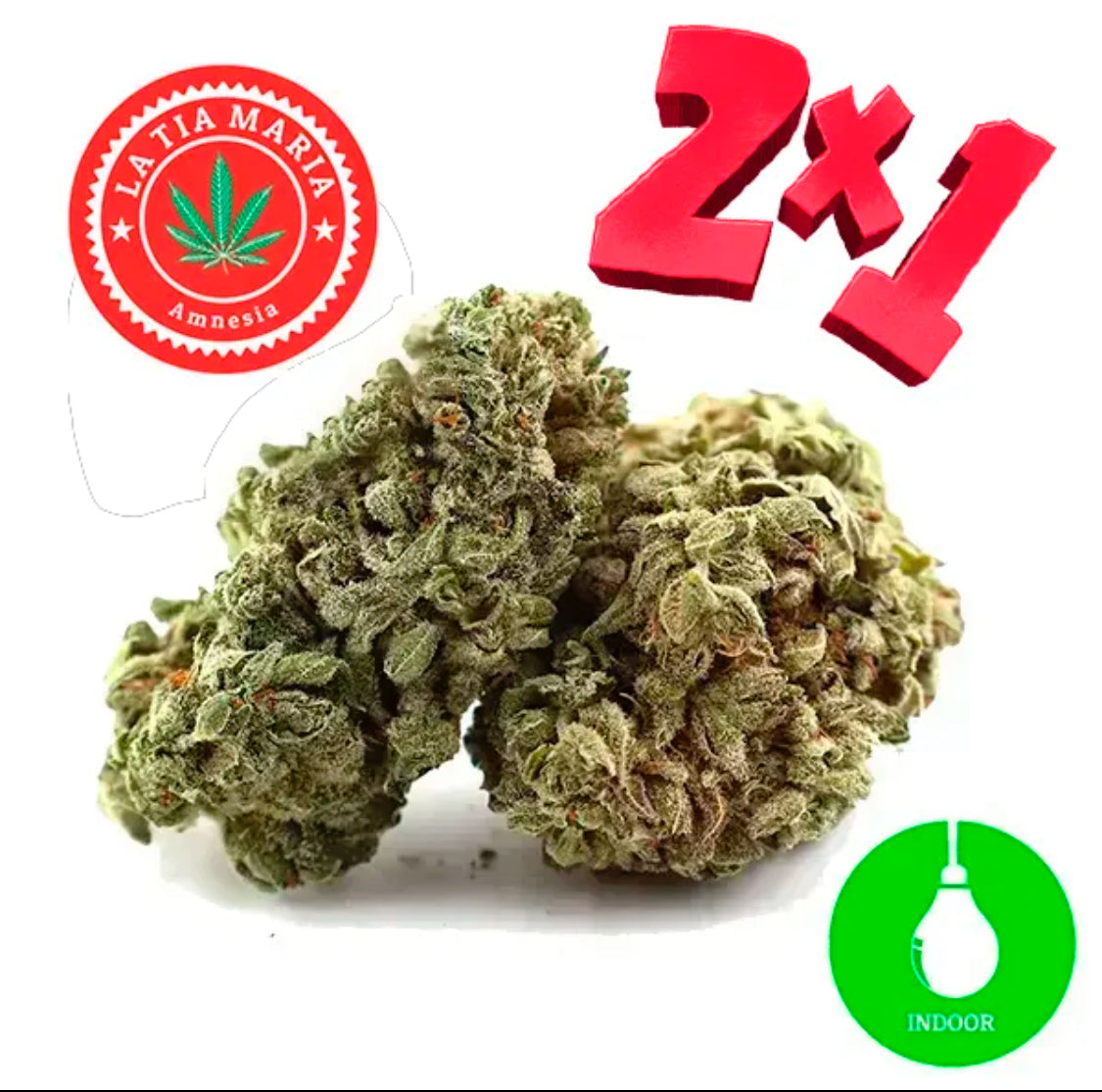 Flor Amnesia CBD Indoor - Ahora 2x1