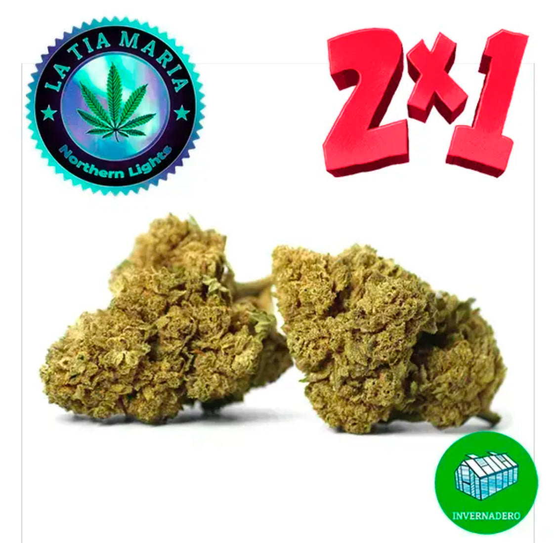 Flor Northernlights CBD