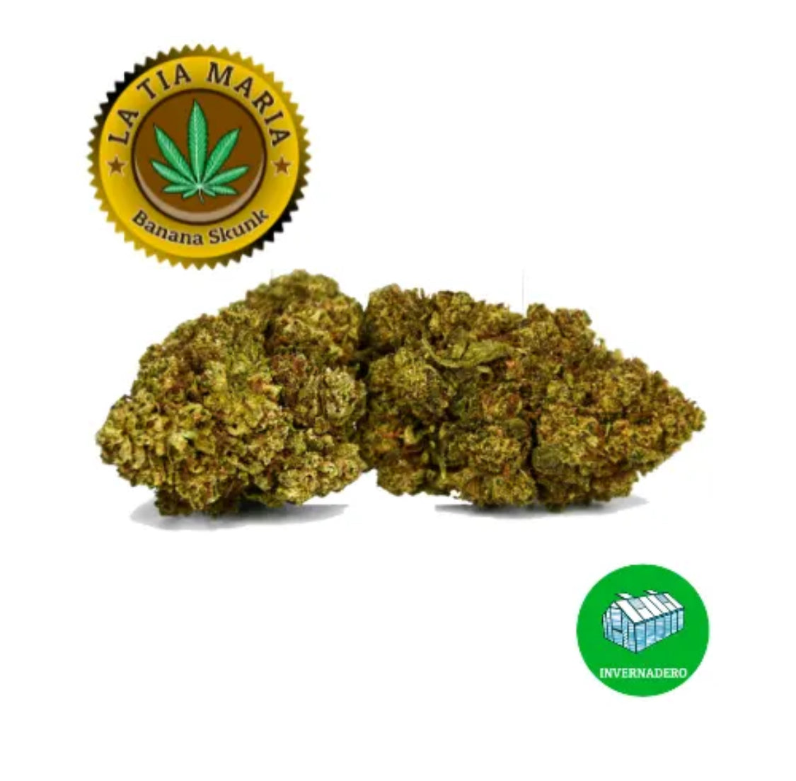 Banana Skunk CBD
