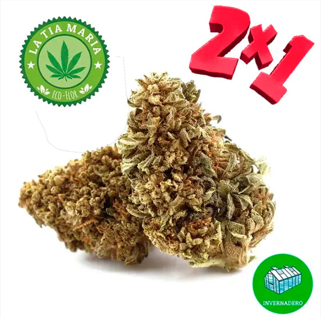 ECOFLOR AHORA 2x1 . 10 GRAMOS 28€ !