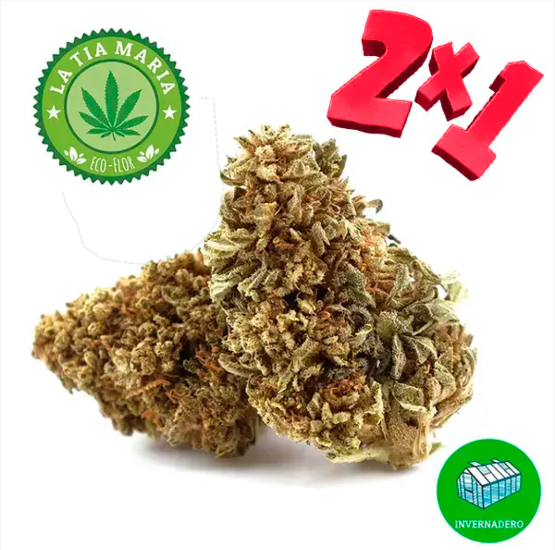 ECOFLOR AHORA 2x1 . 10 GRAMOS 28€ !
