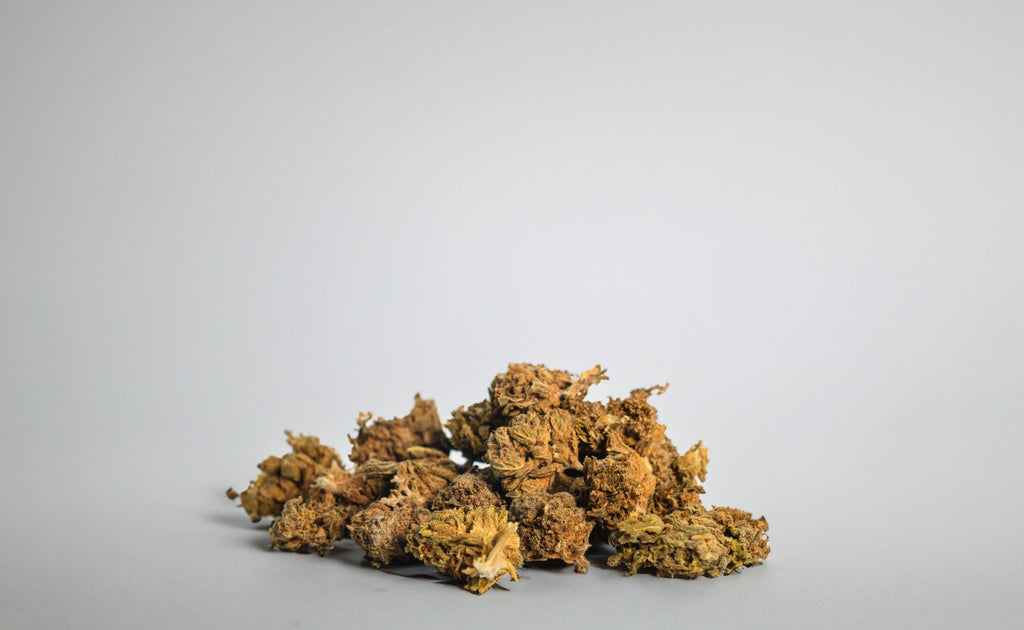 Flor Chollo CBD ALTA CALIDAD