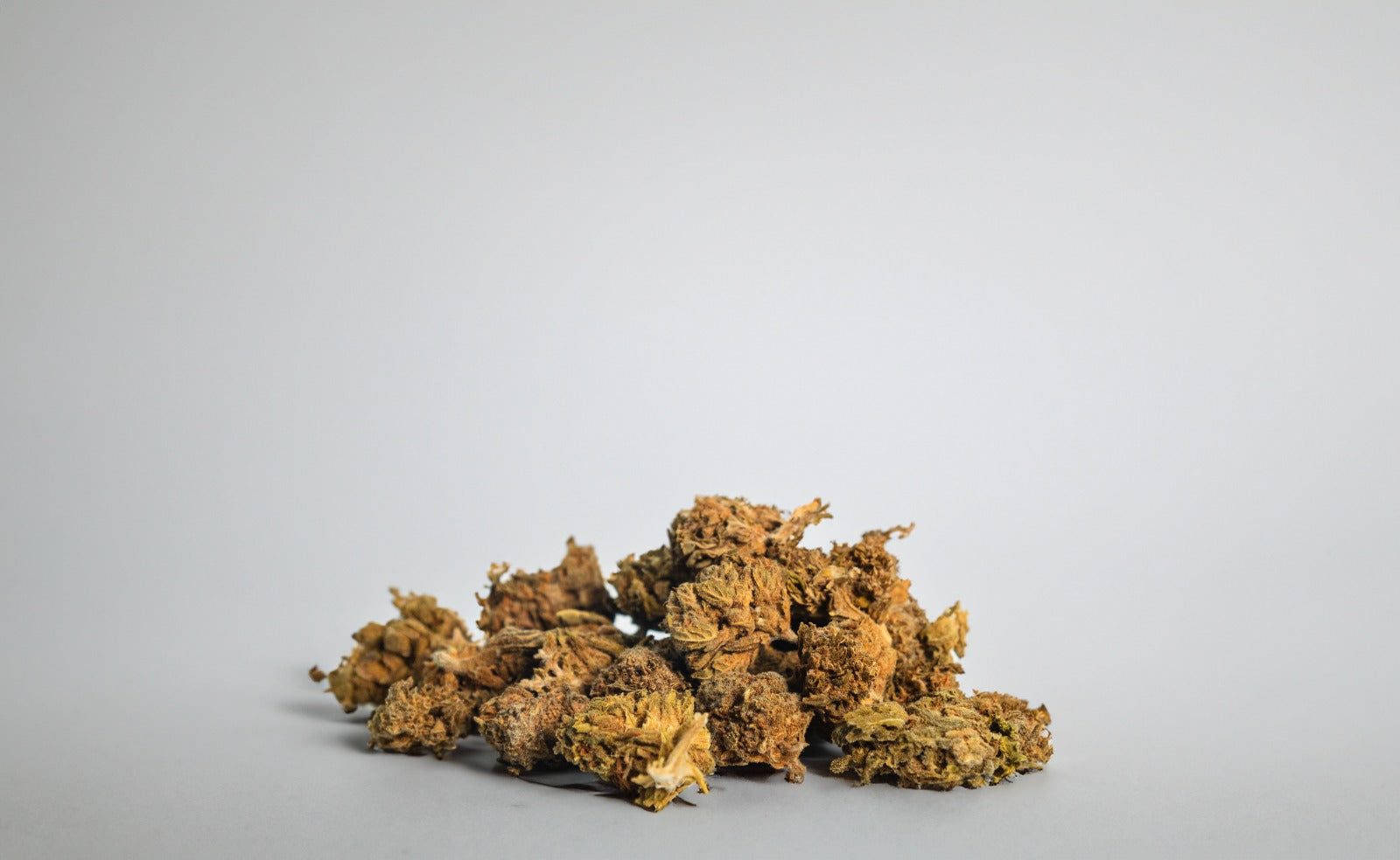 Flor Chollo CBD ALTA CALIDAD