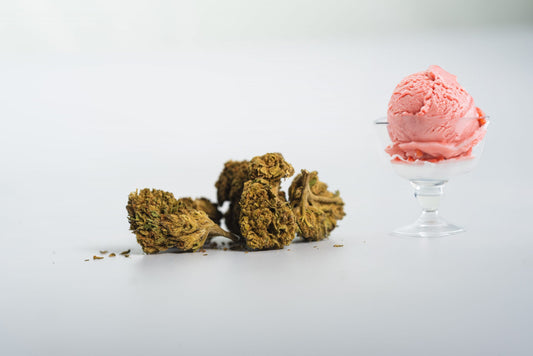 FLOR DE TEMPORADA CBD GELATO