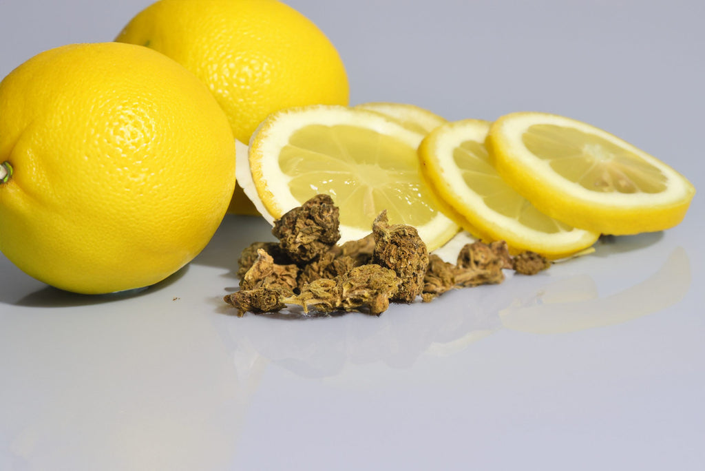 Chollo Flor Lemon Sweet CBD